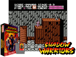 Shadow Warriors - Ninja Gaiden